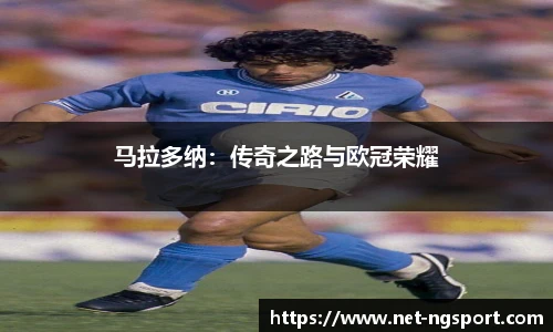 NG体育官网