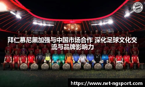 NG体育官网