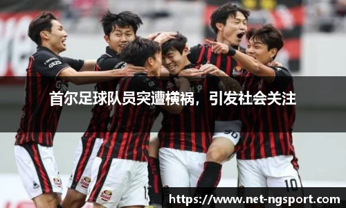 NG体育官网