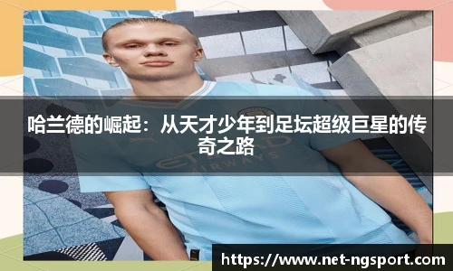 NG体育娱乐