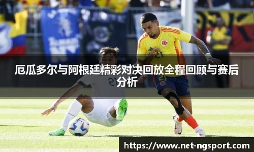 NG体育官网