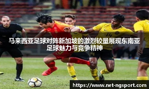 NG体育娱乐