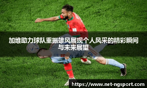 NG体育官网
