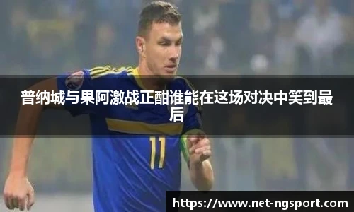 NG体育官网