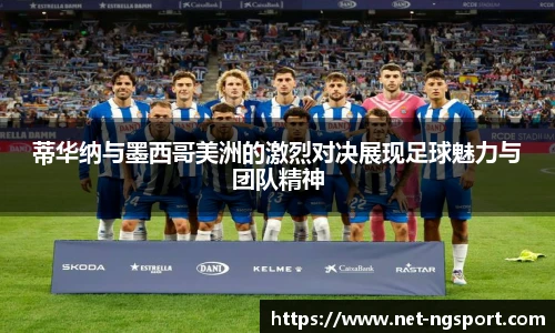 NG体育娱乐