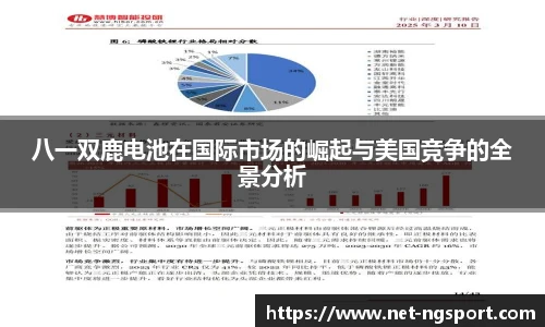NG体育官网
